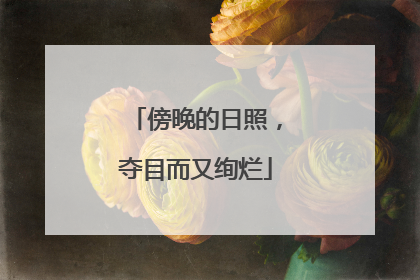 傍晚的日照，夺目而又绚烂