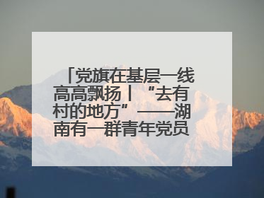 党旗在基层一线高高飘扬丨“去有村的地方”——湖南有一群青年党员这样选择