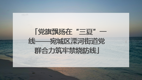 党旗飘扬在“三夏”一线——宛城区溧河街道党群合力筑牢禁烧防线