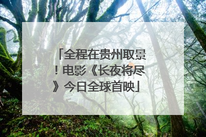 全程在贵州取景！电影《长夜将尽》今日全球首映