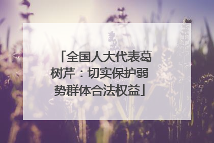 全国人大代表葛树芹：切实保护弱势群体合法权益