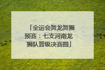 全运会舞龙舞狮预赛：七支河南龙狮队晋级决赛圈