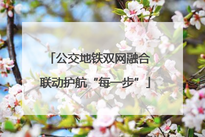 公交地铁双网融合 联动护航“每一步”