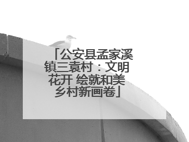 公安县孟家溪镇三袁村：文明花开 绘就和美乡村新画卷