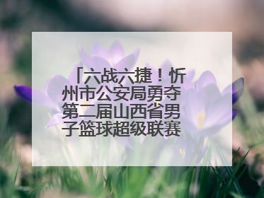 六战六捷！忻州市公安局勇夺第二届山西省男子篮球超级联赛忻州赛区市直职工组比赛冠军