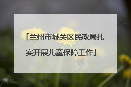 兰州市城关区民政局扎实开展儿童保障工作