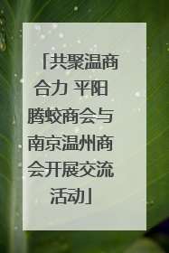 共聚温商合力 平阳腾蛟商会与南京温州商会开展交流活动