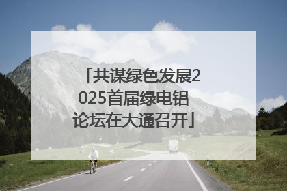 共谋绿色发展2025首届绿电铝论坛在大通召开