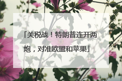 关税战！特朗普连开两炮，对准欧盟和苹果
