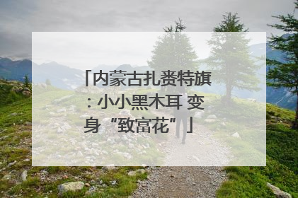 内蒙古扎赉特旗：小小黑木耳 变身“致富花”
