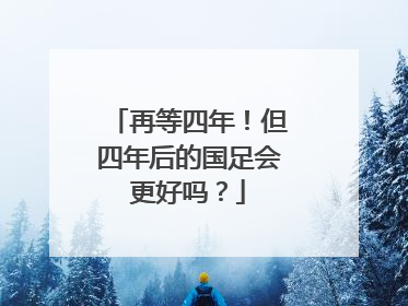 再等四年！但四年后的国足会更好吗？