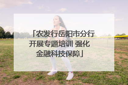 农发行岳阳市分行开展专题培训 强化金融科技保障