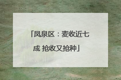 凤泉区：麦收近七成 抢收又抢种