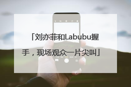 刘亦菲和Labubu握手，现场观众一片尖叫