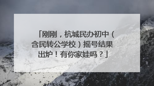 刚刚，杭城民办初中（含民转公学校）摇号结果出炉！有你家娃吗？