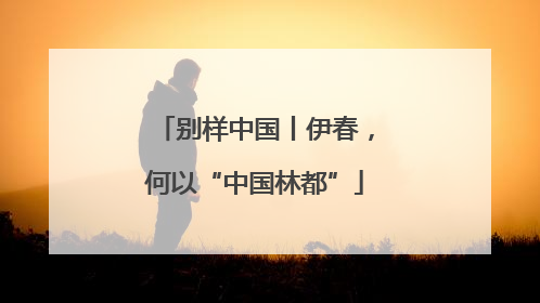 别样中国丨伊春，何以“中国林都”