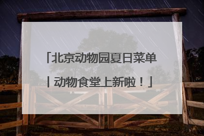 北京动物园夏日菜单丨动物食堂上新啦！