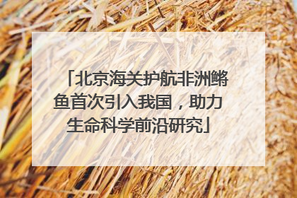 北京海关护航非洲鳉鱼首次引入我国，助力生命科学前沿研究