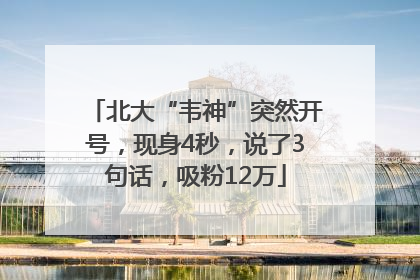 北大“韦神”突然开号，现身4秒，说了3句话，吸粉12万