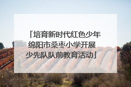 培育新时代红色少年 绵阳市桑枣小学开展少先队队前教育活动