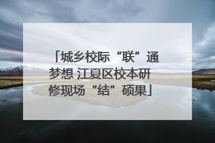 城乡校际“联”通梦想 江夏区校本研修现场“结”硕果
