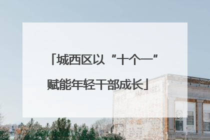 城西区以“十个一”赋能年轻干部成长