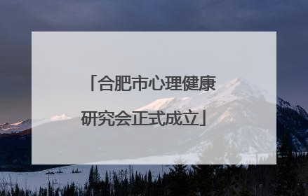 合肥市心理健康研究会正式成立