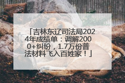 吉林东辽司法局2024年成绩单：调解2000+纠纷，1.7万份普法材料飞入百姓家！