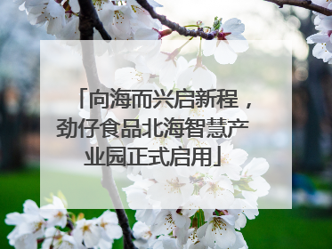 向海而兴启新程，劲仔食品北海智慧产业园正式启用