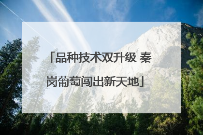 品种技术双升级 秦岗葡萄闯出新天地