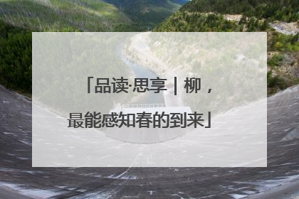 品读·思享｜柳，最能感知春的到来