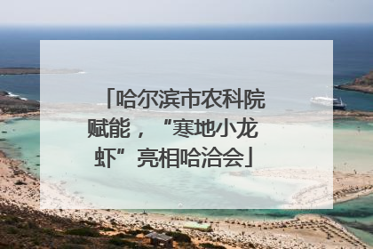 哈尔滨市农科院赋能，“寒地小龙虾”亮相哈洽会