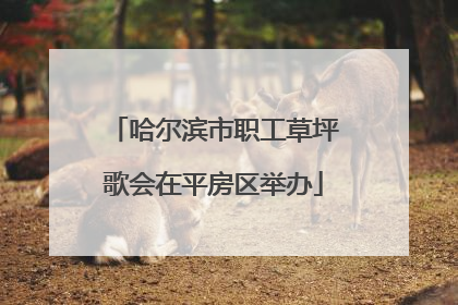 哈尔滨市职工草坪歌会在平房区举办