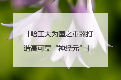 哈工大为国之重器打造高可靠“神经元”