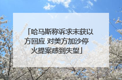 哈马斯称诉求未获以方回应 对美方加沙停火提案感到失望