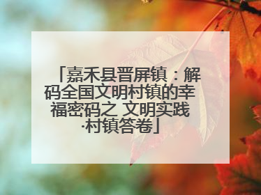 嘉禾县晋屏镇：解码全国文明村镇的幸福密码之 文明实践·村镇答卷