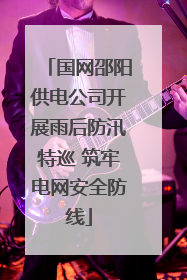国网邵阳供电公司开展雨后防汛特巡 筑牢电网安全防线