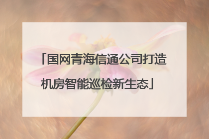 国网青海信通公司打造机房智能巡检新生态