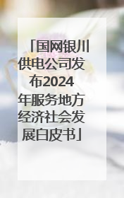国网银川供电公司发布2024年服务地方经济社会发展白皮书