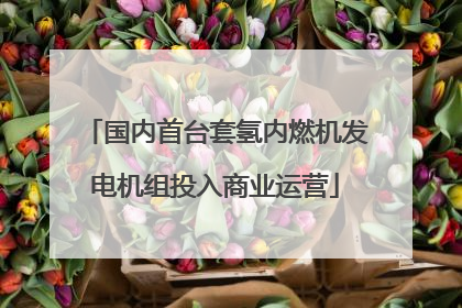 国内首台套氢内燃机发电机组投入商业运营