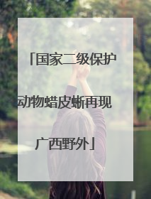 国家二级保护动物蜡皮蜥再现广西野外