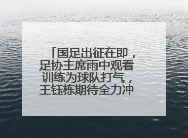 国足出征在即，足协主席雨中观看训练为球队打气，王钰栋期待全力冲击印尼队