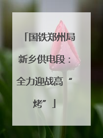 国铁郑州局新乡供电段：全力迎战高“烤”