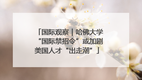 国际观察｜哈佛大学“国际禁招令”或加剧美国人才“出走潮”