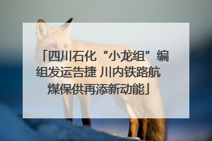 四川石化“小龙组”编组发运告捷 川内铁路航煤保供再添新动能