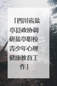 四川省盐亭县政协调研盐亭职校青少年心理健康教育工作