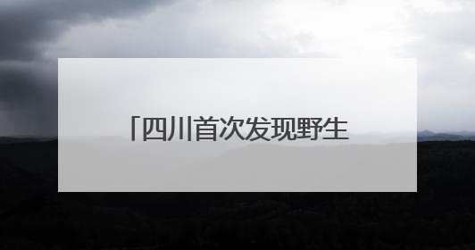 四川首次发现野生朱鹮夏季栖息行为