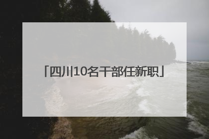 四川10名干部任新职