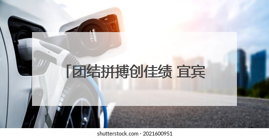 团结拼搏创佳绩 宜宾学院田径队闪耀2025四川省大学生田径赛场