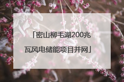 密山柳毛湖200兆瓦风电储能项目并网